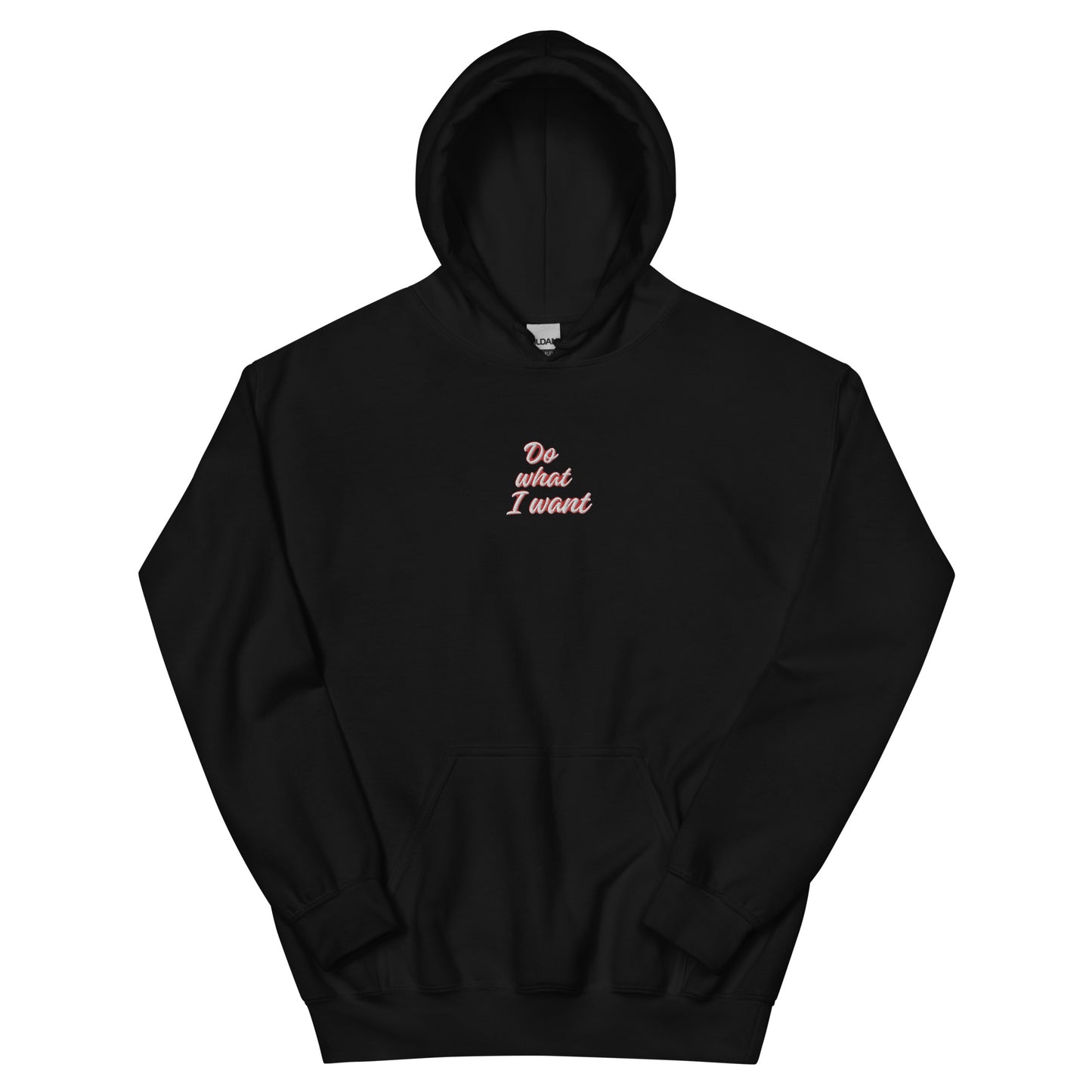 Do What I Want Hoodie
